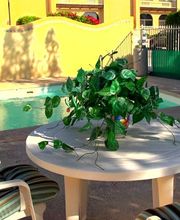 Silver Creek Assisted Living image 12