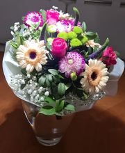 Gallery Cliente