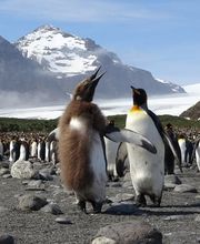 Reisebüro Zeilinger AG Bild 3