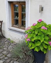 Juwelier Ralf Berg Bild 4