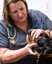 TotalBond Veterinary Hospital at Bethel image 6