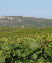 Domaine du Paradis image 3