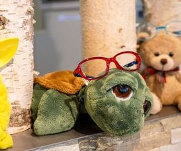 SichtArt Optik AG Bild 11
