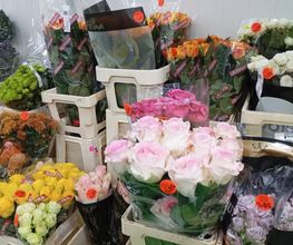 Decoflora GmbH Bild 11