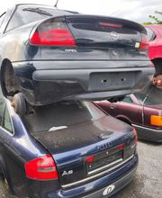 WhatsApp Image 2024-10-09 at 09.13.39.jpeg