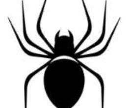 Desinfexion Service Sàrl Bild 3