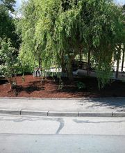 OnkelBen Garten- & Landschaftspflege Bild 5