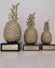 Robot Sportpreis AG Bild 11