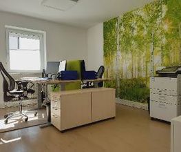 Büroraum mit 2 Arbeitsplätzen und einem Drucker, die Wand mit Birkenbaum Tapete.