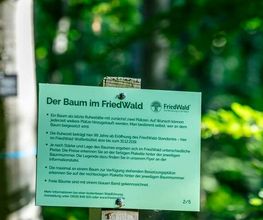 FriedWald Wolfenbüttel Bild 10
