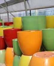 Breshear's Nursery & Greenhouse image 8