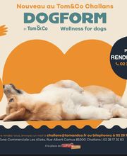 Tom&Co Challans image 4