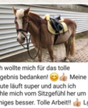 IP-Horsepower Immo Peltzer Bild 3