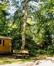 FriedWald Hasbruch Bild 16