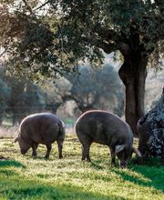 Barranco Especialitats, S.L. imagen 13