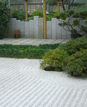 Der Grüne Baum Bild 12