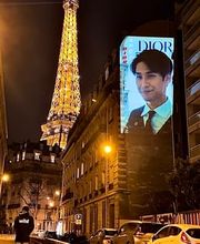 WILD projection image 1