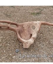 Le bois fait souche image 1