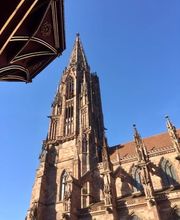 Freiburg-Guide Bild 2