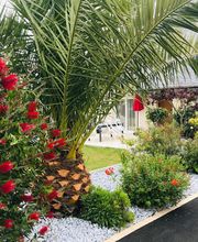 Daniel Moquet signe vos jardins - Ent. DS Paysages image 15