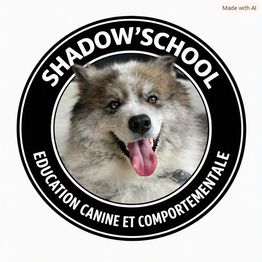 Shadow'School