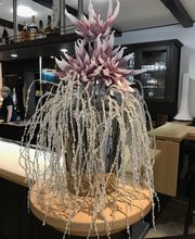 dS Hotel Gronau / Restaurant Bild 12