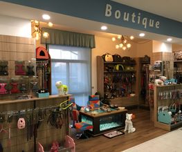 Gallery Cliente