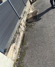 Teixeira Costa image 15