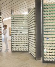 Kieferorthopädie Memmingen