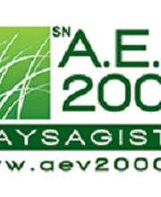 AEV 2000 image 4