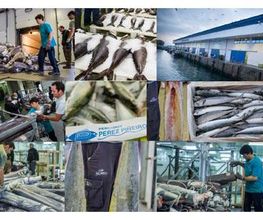 pescados-01-g.jpg