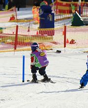 Wintersportschule Thoma | Feldberg Bild 10