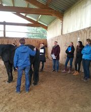 Equinus Sanitas Bild 15