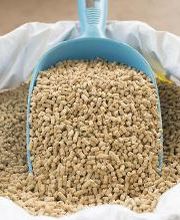 Transerrasol imagen 4