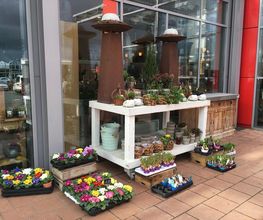 Blumen Interfleur Floristik & Wohnaccessoires Bild 7