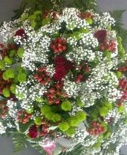 Audrey Fleurs image 10
