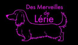 Des Merveilles de Lérie
