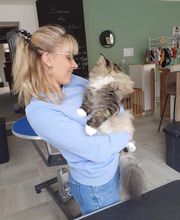 A FLAIR ALLURE image 2