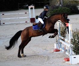 Centre Equestre De La Tour image 3