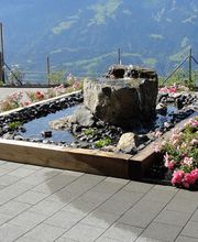 Patric Gartenbau Bild 11