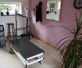 Bine's Hundestyling Bild 2