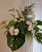 Zahnarztpraxis Embrach-Rorbas AG Bild 10