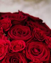 Blumen Ball GmbH Bild 8