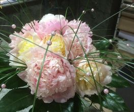 Fleurs Des 4 Saisons image 4