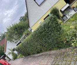 IMG_6624.jpeg