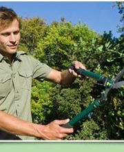 Cane Cutters Landscaping image 7