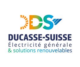 Ducasse-Suisse David image 3