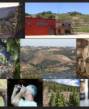 Domaine Christophe Semaska image 2