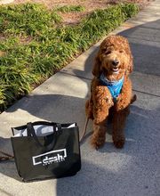 Dash Home Loans image 18