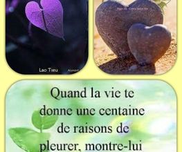 Durand Mireille image 1